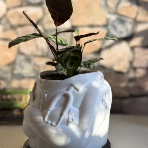 گلدان سه بعدی روپوش پزشکی